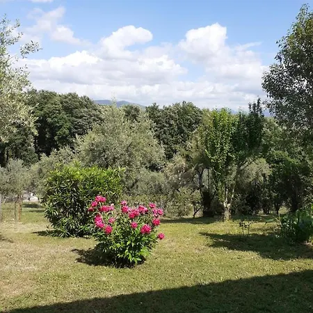Casa Felice Daire