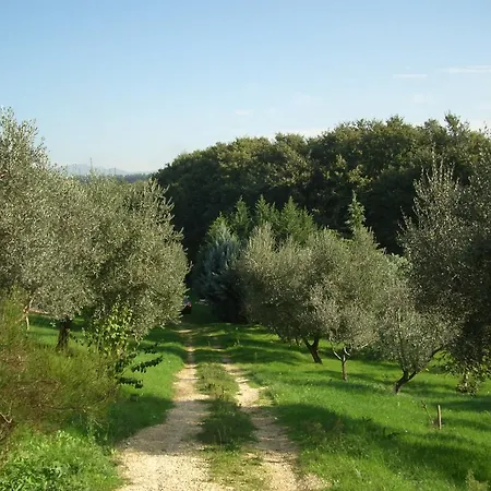 Casa Felice Passo Corese